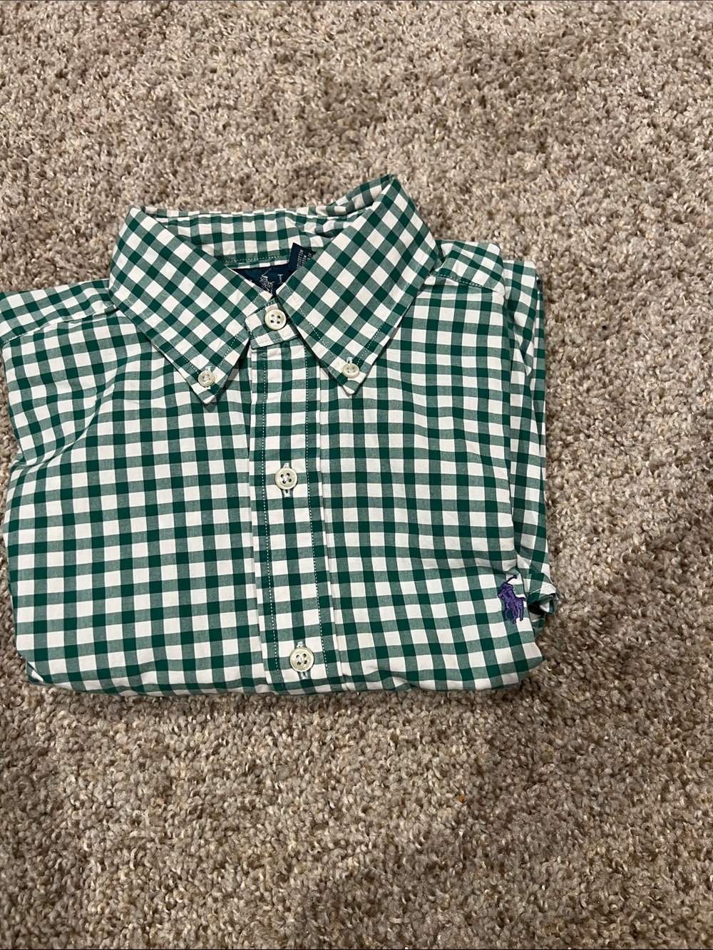 Polo by Ralph Lauren Green & White Gingham Button-Down Shirt